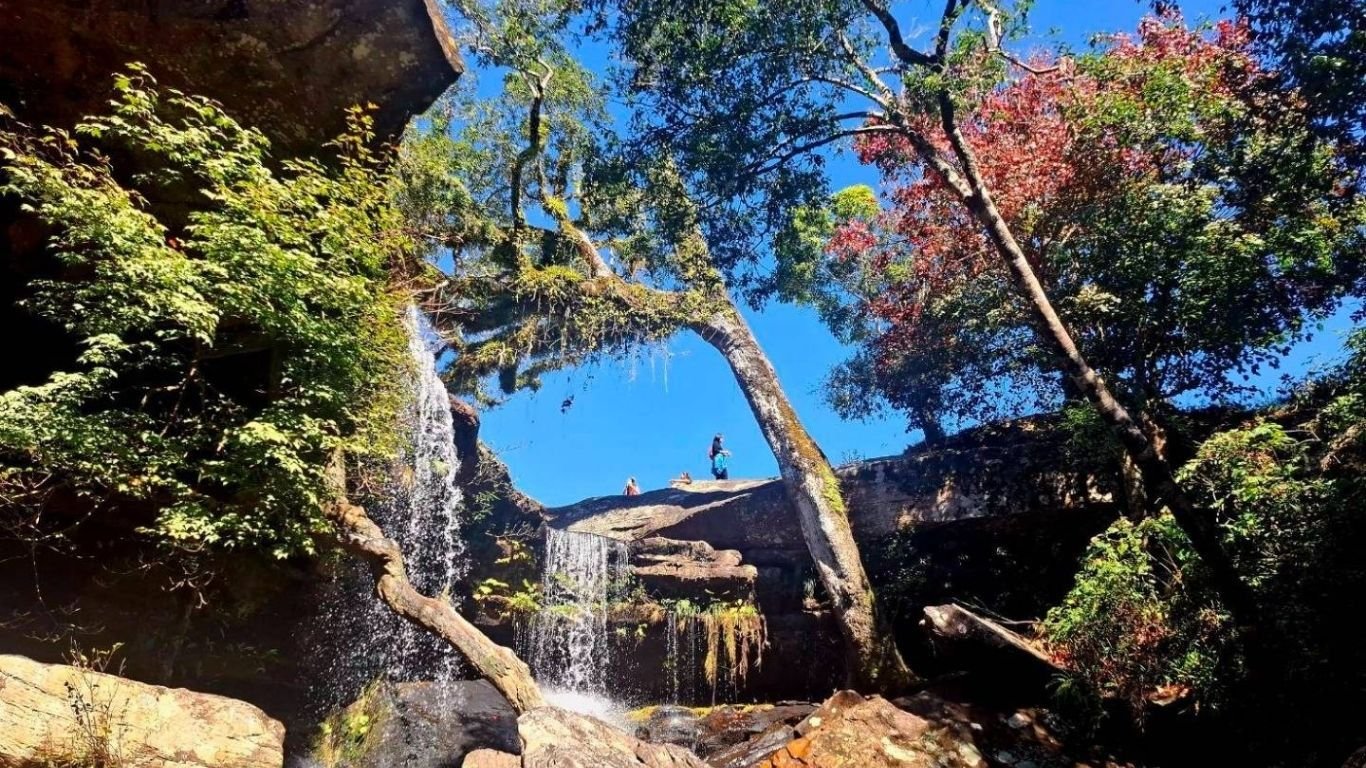 Waterfalls in Phu Kradueng National Park reopen to tourists after a year of closures