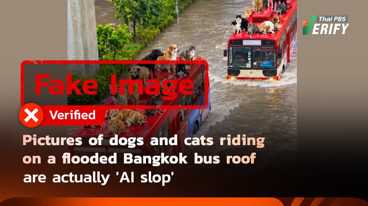 Fake Image: Pictures of dogs and cats riding on a flooded Bangkok bus roof—falsely claimed as real rescue efforts—are actually ‘AI slop’