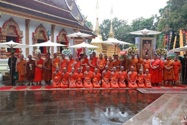 12 Wild Boars ordained in Chiang Rai 12 Wild Boars ordained in Chiang Rai