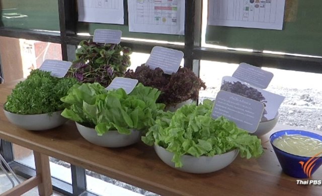 Vegetables and fruits in student lunches heavily contaminated with toxic chemicals Vegetables and fruits in student lunches heavily contaminated with toxic chemicals