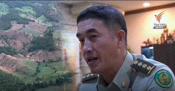 Forest Dept. chief misled into approving the felling of healthy trees on road in Phang-nga