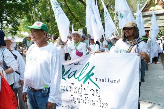 “Cannabis Walk Thailand” starts in Phichit province “Cannabis Walk Thailand” starts in Phichit province