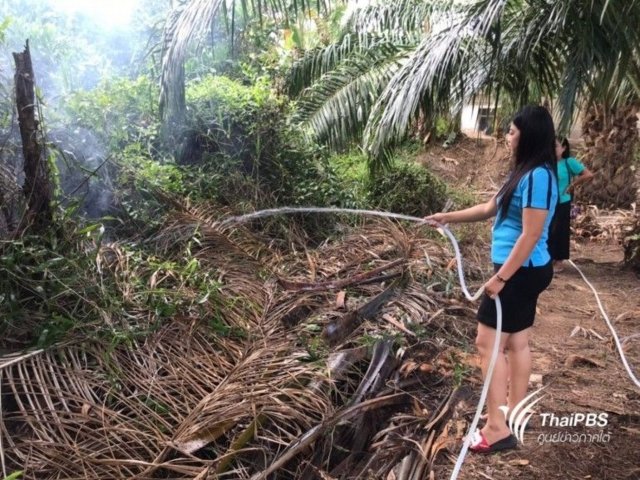 Children evacuated as peat swamp fire threatens school Children evacuated as peat swamp fire threatens school