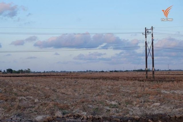 Severity of drought next year likely to equal that of 2015-16 in Thailand