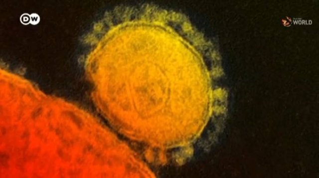 Coronavirus infection - how it works