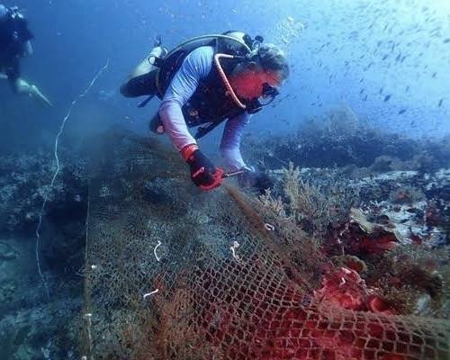 Coral, sea grass and marine rock formations in Thailand’s southern provinces now protected
