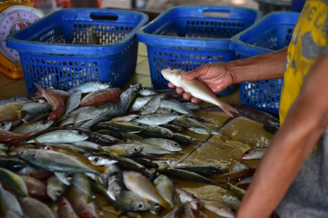 Thai and Laos government to discuss lifting seafood import ban