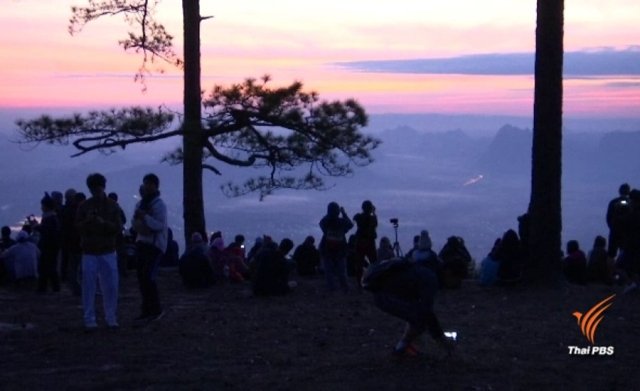 Four of Thailand’s national parks close due to concerns over COVID-19