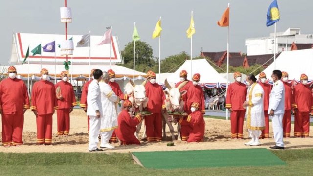 Brahmins predict plentiful food, slightly more rain for Thailand this year Brahmins predict plentiful food, slightly more rain for Thailand this year