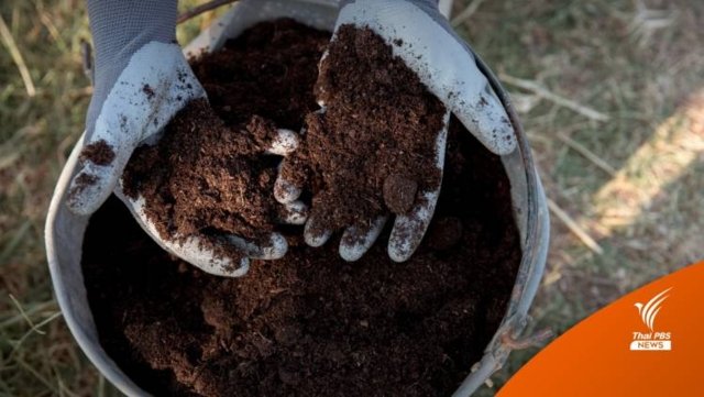 Saudi Arabia to sell fertiliser to Thailand