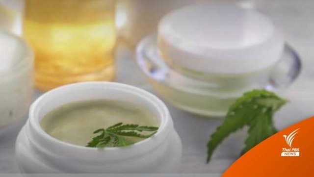 Thailand approves 218 formulae for cannabis, hemp-based cosmetics Thailand approves 218 formulae for cannabis, hemp-based cosmetics