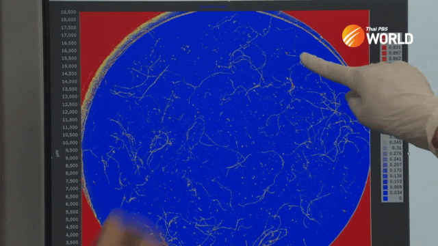 Experts confirm micro-plastic particles are present in the air we breathe Experts confirm micro-plastic particles are present in the air we breathe