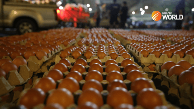 Chicken egg ex-farm price pegged at ฿2.90 effective Thursday Chicken egg ex-farm price pegged at ฿2.90 effective Thursday