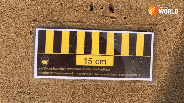 Black globules found on beaches in Rayong , Chon Buri sent for tests