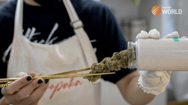 Move Forward-led govt’s policy on legalized cannabis – it’s complicated Move Forward-led govt’s policy on legalized cannabis – it’s complicated