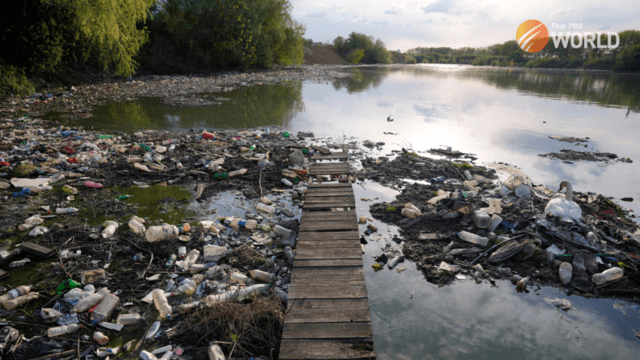 Earth is 'really quite sick now' and in danger zone in nearly all ecological ways, study says