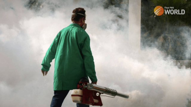 Dengue fever on the rise, more elderly people being infected Dengue fever on the rise, more elderly people being infected