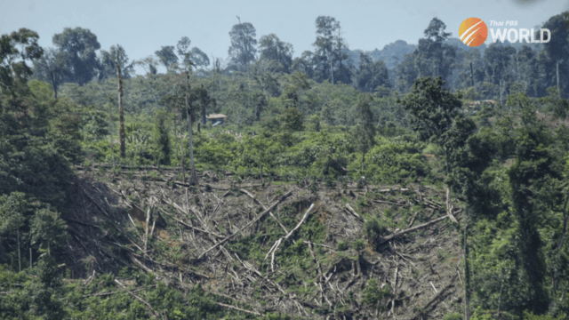 Indonesia accuses EU of 'regulatory imperialism' with deforestation law Indonesia accuses EU of 'regulatory imperialism' with deforestation law