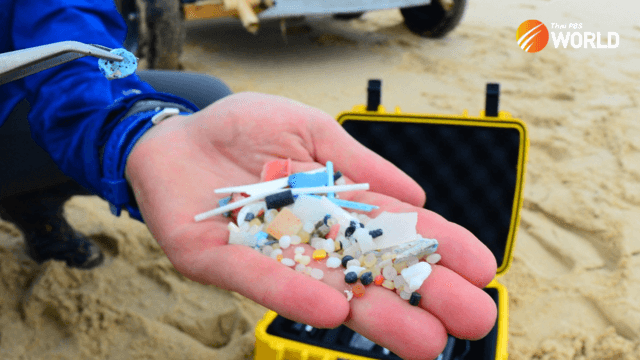 'They're everywhere': microplastics in oceans, air and human body