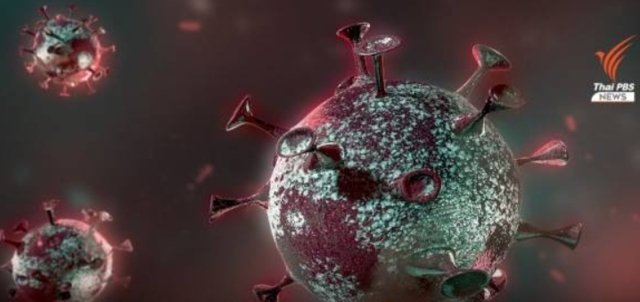 Entering post-pandemic era, Thailand sees 29,000 daily COVID infections since June 25