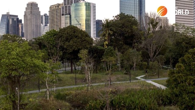 Working towards a greener, happier city Working towards a greener, happier city
