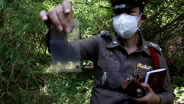 Lead shot found in remains of elephant in Kanchanaburi wildlife sanctuary