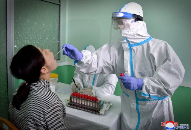 North Korea reports no new cases for first time since Covid outbreak