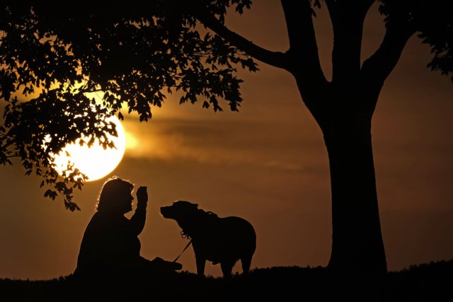 Monkeypox can spread to pet dogs, doctors report Monkeypox can spread to pet dogs, doctors report