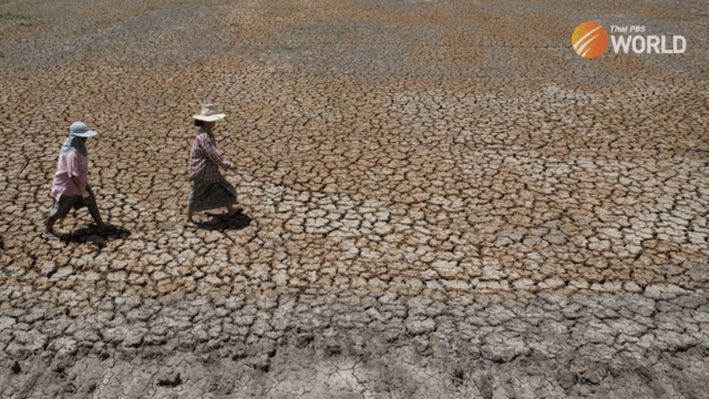 Heatstroke: What is it, how does it occur, and how to prevent it? Heatstroke: What is it, how does it occur, and how to prevent it?