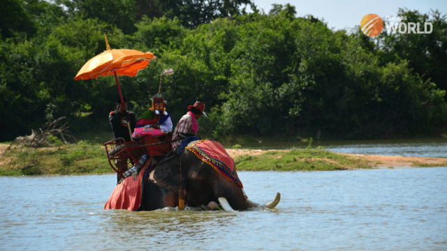 Magnificence on elephant back