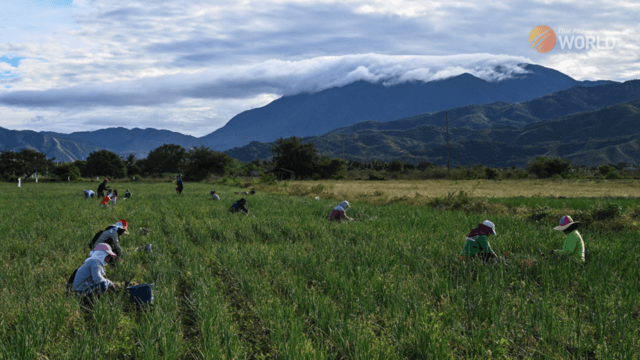 Philippines writes off $1 bn in farmer debt to boost food production