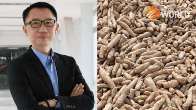Public Warehouse Organisation chief faces probe over missing tapioca