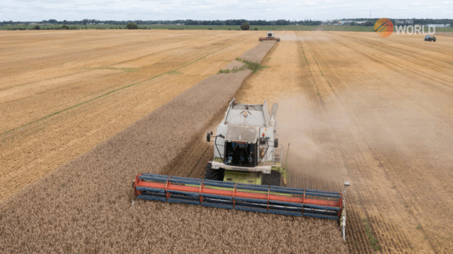 Why allowing Ukraine to ship grain during Russia's war matters to the world