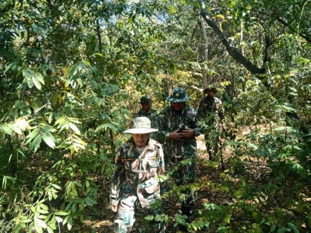 As many as 13,000 new forest rangers being recruited
