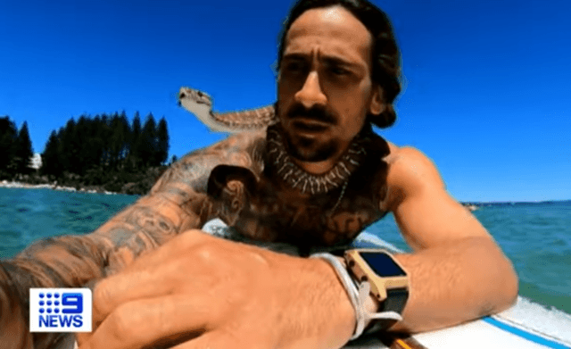 Snake no mistake: Australian fined for surfing with python