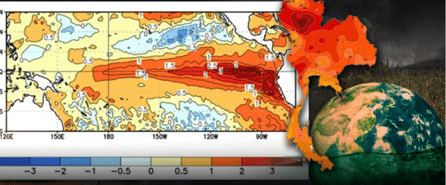 El Niño effects forecast to get worse from November to January