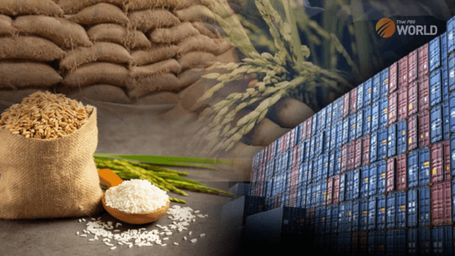 Rice policies caught in controversy and politicization ?