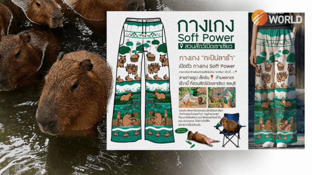 Move over elephant pants, “Capybara pants” are here!