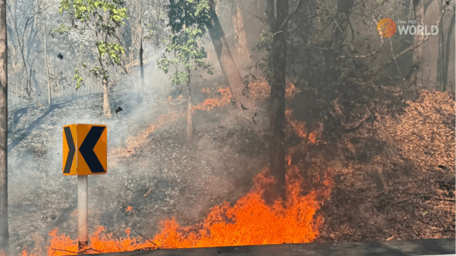 Forest fires in Chiang Mai made the city the world’s 8th most polluted on Saturday Forest fires in Chiang Mai made the city the world’s 8th most polluted on Saturday