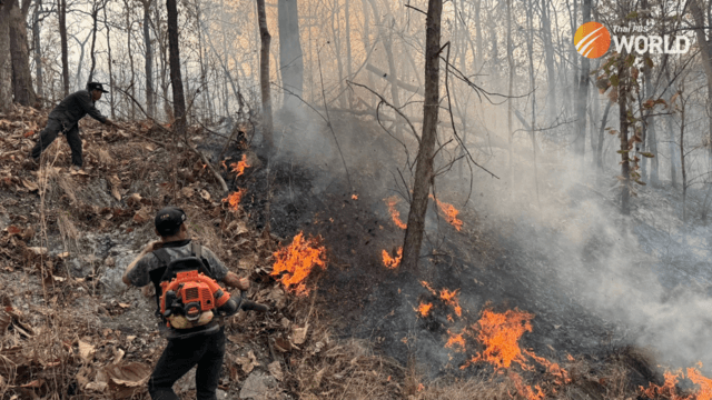 Former forest chief offers advice on controlling northern forest fires