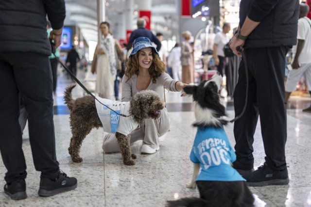 Turkey therapy dogs join Istanbul Airport staff Turkey therapy dogs join Istanbul Airport staff