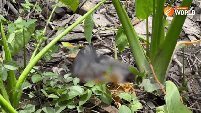 Slain teen’s hands found Slain teen’s hands found
