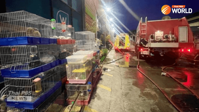 Animal lovers demand permanent closure of Chatuchak pet market