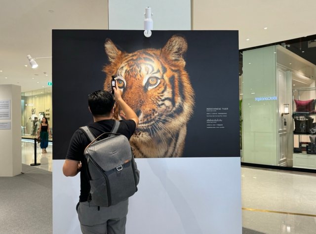 If animals can’t live, will we?