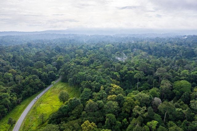 Khao Yai – A Wellness Paradise Khao Yai – A Wellness Paradise