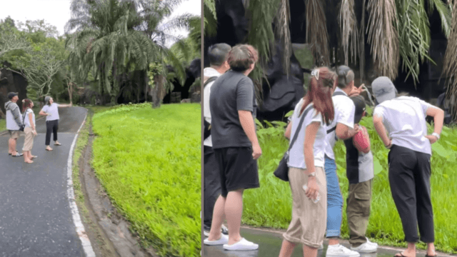 Khao Kheow open zoo to ban slingshots Khao Kheow open zoo to ban slingshots