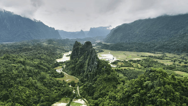 Five tourists dead after suspected tainted alcohol poisoning in Laos Five tourists dead after suspected tainted alcohol poisoning in Laos