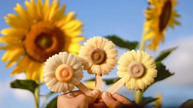 Here comes the sun with fields awash in yellow Here comes the sun with fields awash in yellow