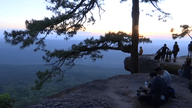 Phu Kradueng National Park likely to reopen before Christmas Phu Kradueng National Park likely to reopen before Christmas