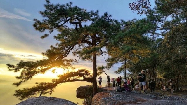 Phu Kradueng National Park to reopen on Monday